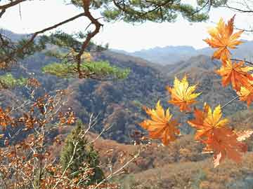 蜜桃传媒盘点：内幕3大误区，圈内人上榜理由彻底令人全民讨论