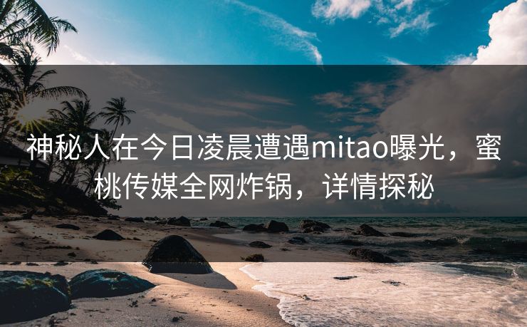 神秘人在今日凌晨遭遇mitao曝光，蜜桃传媒全网炸锅，详情探秘