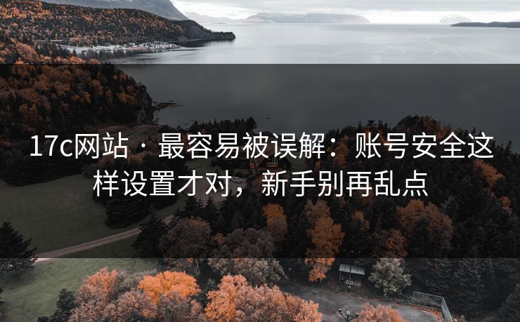 17c网站 · 最容易被误解：账号安全这样设置才对，新手别再乱点