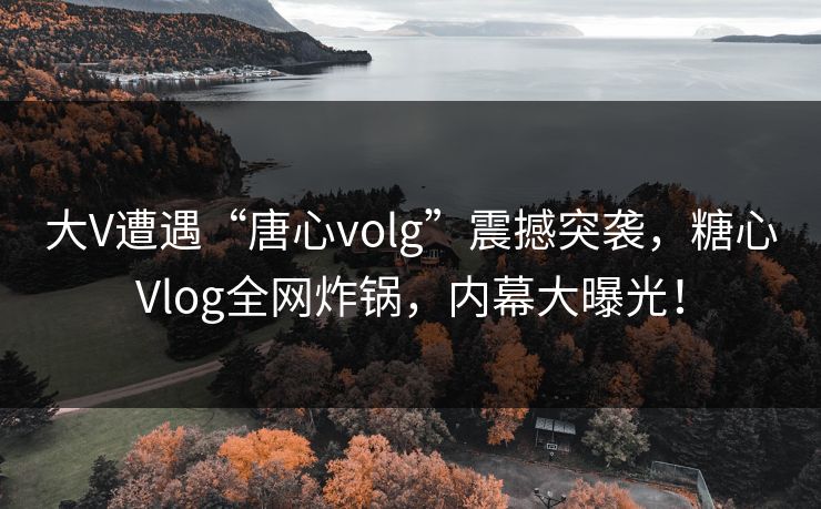大V遭遇“唐心volg”震撼突袭，糖心Vlog全网炸锅，内幕大曝光！