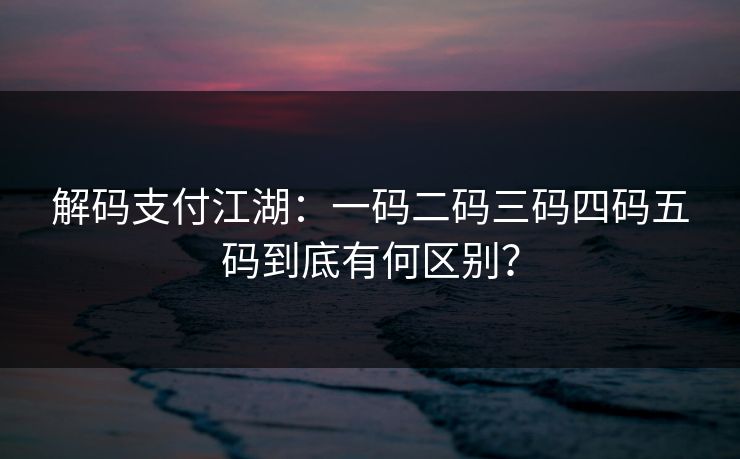解码支付江湖：一码二码三码四码五码到底有何区别？